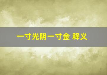 一寸光阴一寸金 释义